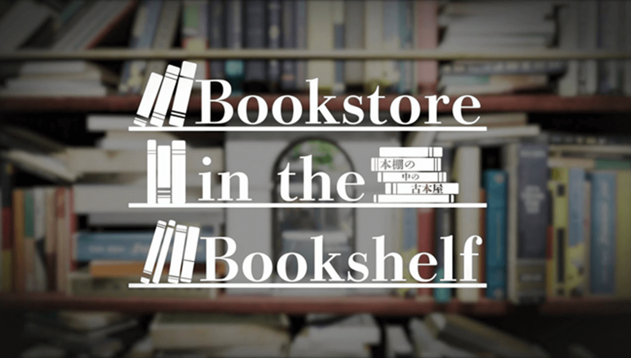 Bookstore in the Bookshelf