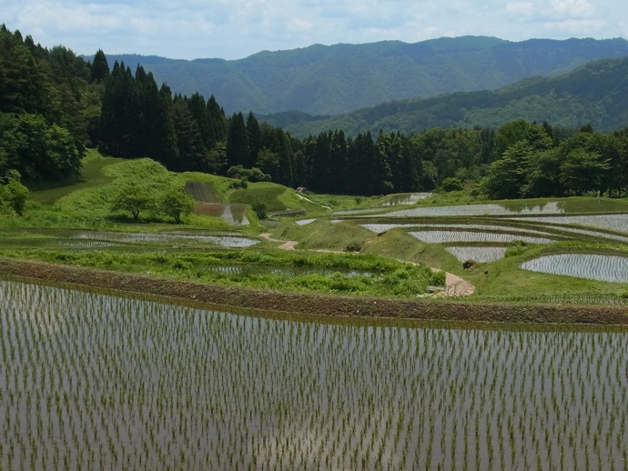 110611_ハチ高原