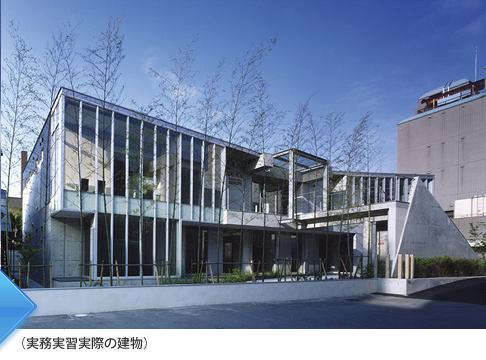 （実務実習実際の建物）